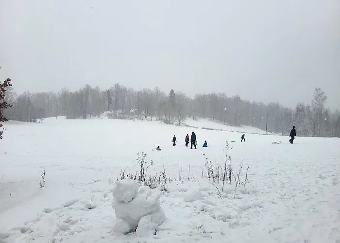 Apartament Pod Jelonkiem
